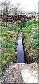 NY5032 : Ditch which flows under wall on west side of Inglewood Road by Roger Templeman