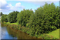 Bridgwater & Taunton Canal