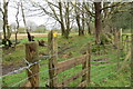 Llwybr yn cwrdd ? heol las /  A path joins a green road