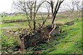 Gweddillion Ffarm Gwernyfed / Remains of Gwernyfed Farm