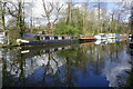 Canal boat Shikara, Grand Union Canal