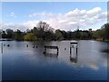 TL1306 : Flooding round The Lake, St Albans by Alan Paxton