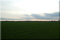 Farmland along Westfield Lane