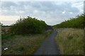 North along the cycle path