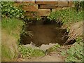 The well in Sowood, Stainland