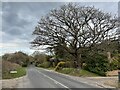 Aldeburgh Road, Aldringham