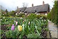 SP1854 : Anne Hathaway's Cottage by Philip Halling