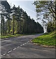 Tree-lined main road, Llanover, Monmouthshire