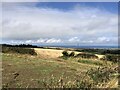 North Yorkshire farmland