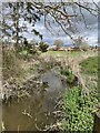 Drainage stream on outskirts of Gains Park estate, Shrewsbury