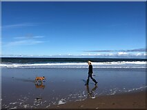 NZ8812 : Perfect day for Walkies! by Eirian Evans
