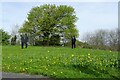 Commemorating fallen soldiers