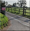 HORSES PLEASE SLOW DOWN! Llanover