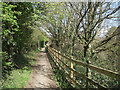 Wooded footpath on the west side of the South Cornelly bypass