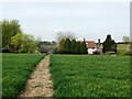 Footpath, Throwley Forstal