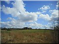 White clouds over the fields