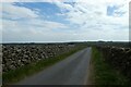 Road near Grey Green Farm