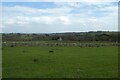 Fields above St. Peter