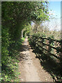 Wooded footpath on the west side of the South Cornelly bypass (2)