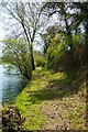 Path along Ocean Pit, Weybread