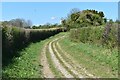 Track near Eveley Wood