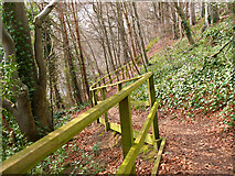 NT5034 : Woodland path with railing by Jim Barton