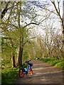 The Thames Path by Lonsdale Road Reservoir, in early April