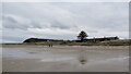 Beach, Shandwick Bay