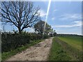 TL7822 : Byway from Lanham Farm Road to Coggeshall Road by David Morgan