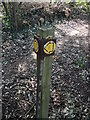 Path markers by the double