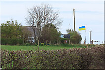 NJ4062 : Ukrainian Flag by Anne Burgess