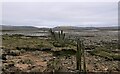 Fish trap, Nigg Bay, Ross and Cromarty