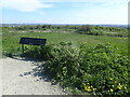 The viewpoint at Wood Farm