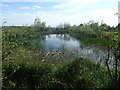 Pond at Wood farm