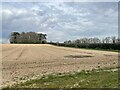 Ploughed field near Park Farm New Covert