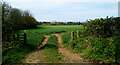 Field entrance above Culzean