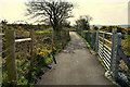 Path along Termon Greenway