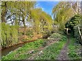 Path by Cove Brook