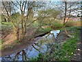 Cove Brook behind Giffard Drive