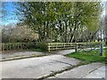 Edge of Birchwood Nature Reserve