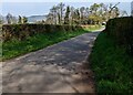 Hedge-lined minor road, Llanover