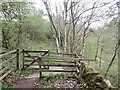 Gate, Selkirk Hills