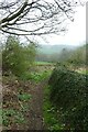 Bridleway north of Raventofts Farm