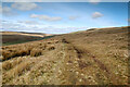 NY8902 : Pennine Way heading north up West Stonesdale by Andy Waddington