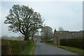 Road near Meadow View Cottage