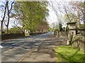 View W-NW along Bryansford Road