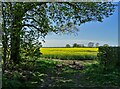 View to the north west from Eske Lane