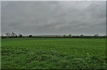 TA0946 : Looking west from Heigholme Lane by Neil Theasby