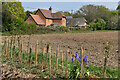 Houses overlooking field at Hinton Admiral