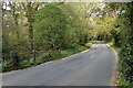 Ringwood Road from bridge over stream